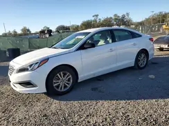 5NPE24AF8GH356557 2016 HYUNDAI SONATA