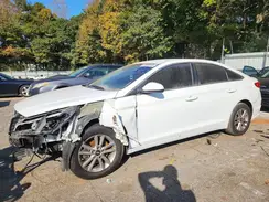 5NPE24AF8GH356798 2016 HYUNDAI SONATA