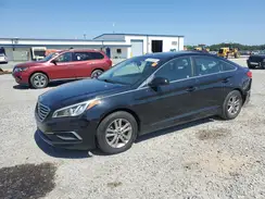 5NPE24AF8GH359460 2016 HYUNDAI SONATA