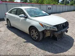5NPE24AF8GH362164 2016 HYUNDAI SONATA