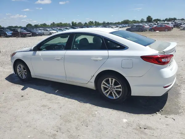 5NPE24AF8GH384214 2016 HYUNDAI SONATA - Image 2