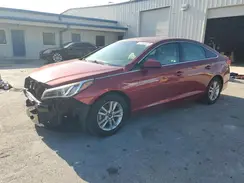 5NPE24AF8GH390532 2016 HYUNDAI SONATA