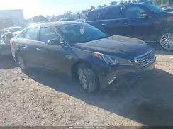 5NPE24AF8GH390949 2016 HYUNDAI SONATA