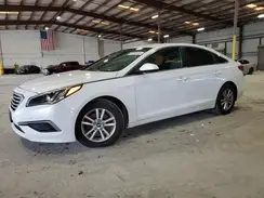5NPE24AF8GH392331 2016 HYUNDAI SONATA