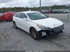 5NPE24AF8GH395262 2016 HYUNDAI SONATA