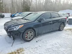 5NPE24AF8GH409600 2016 HYUNDAI SONATA