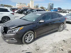 5NPE24AF8GH413050 2016 HYUNDAI SONATA