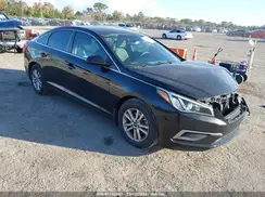 5NPE24AF8GH423335 2016 HYUNDAI SONATA