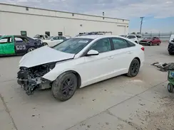5NPE24AF8HH441187 2017 HYUNDAI SONATA