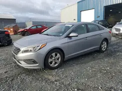 5NPE24AF8HH441979 2017 HYUNDAI SONATA