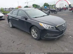 5NPE24AF8HH448270 2017 HYUNDAI SONATA