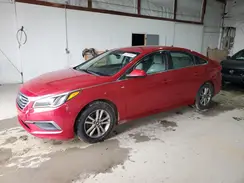 5NPE24AF8HH450651 2017 HYUNDAI SONATA