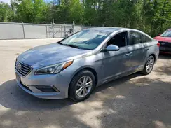 5NPE24AF8HH459981 2017 HYUNDAI SONATA