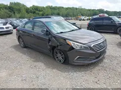 5NPE24AF8HH465313 2017 HYUNDAI SONATA