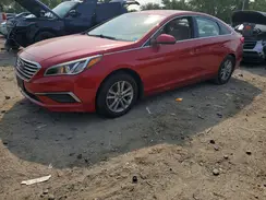 5NPE24AF8HH466591 2017 HYUNDAI SONATA