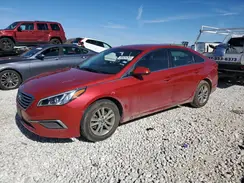 5NPE24AF8HH477431 2017 HYUNDAI SONATA