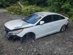 5NPE24AF8HH485870 2017 HYUNDAI SONATA