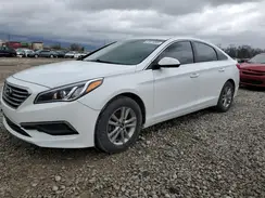 5NPE24AF8HH488669 2017 HYUNDAI SONATA