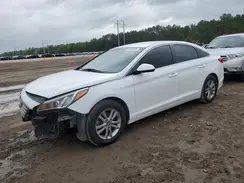 5NPE24AF8HH490261 2017 HYUNDAI SONATA