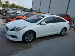 5NPE24AF8HH493029 2017 HYUNDAI SONATA