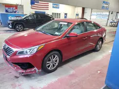 5NPE24AF8HH493533 2017 HYUNDAI SONATA