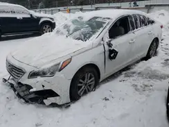 5NPE24AF8HH493709 2017 HYUNDAI SONATA