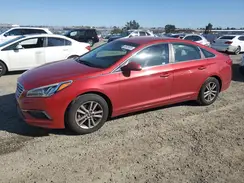 5NPE24AF8HH494259 2017 HYUNDAI SONATA