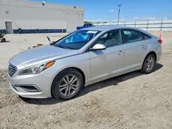 5NPE24AF8HH501579 2017 HYUNDAI SONATA