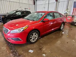 5NPE24AF8HH503638 2017 HYUNDAI SONATA