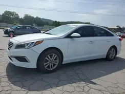 5NPE24AF8HH504143 2017 HYUNDAI SONATA
