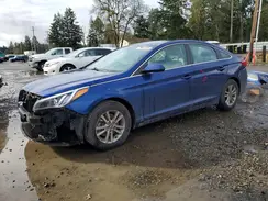 5NPE24AF8HH505664 2017 HYUNDAI SONATA