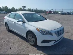 5NPE24AF8HH506586 2017 HYUNDAI SONATA