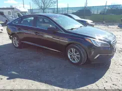 5NPE24AF8HH510573 2017 HYUNDAI SONATA