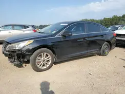 5NPE24AF8HH515109 2017 HYUNDAI SONATA