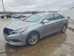 5NPE24AF8HH515353 2017 HYUNDAI SONATA