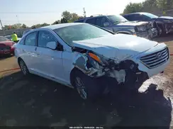 5NPE24AF8HH515773 2017 HYUNDAI SONATA