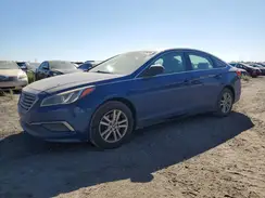 5NPE24AF8HH518981 2017 HYUNDAI SONATA