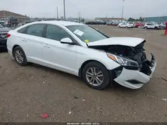 5NPE24AF8HH522531 2017 HYUNDAI SONATA