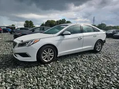 5NPE24AF8HH524697 2017 HYUNDAI SONATA