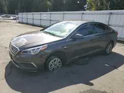 5NPE24AF8HH526885 2017 HYUNDAI SONATA