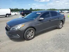 5NPE24AF8HH528894 2017 HYUNDAI SONATA
