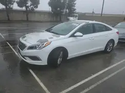 5NPE24AF8HH529236 2017 HYUNDAI SONATA