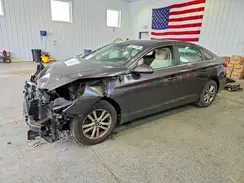 5NPE24AF8HH534582 2017 HYUNDAI SONATA