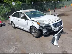 5NPE24AF8HH539961 2017 HYUNDAI SONATA