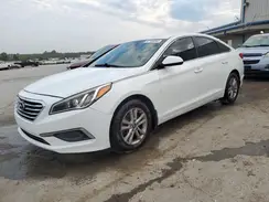 5NPE24AF8HH541645 2017 HYUNDAI SONATA