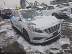 5NPE24AF8HH544223 2017 HYUNDAI SONATA