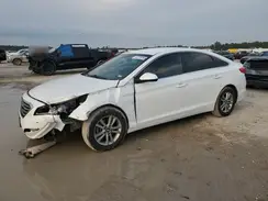 5NPE24AF8HH545758 2017 HYUNDAI SONATA