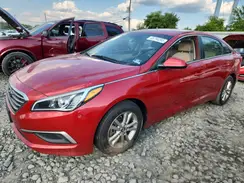 5NPE24AF8HH552175 2017 HYUNDAI SONATA