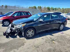 5NPE24AF8HH555092 2017 HYUNDAI SONATA