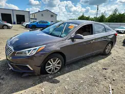 5NPE24AF8HH555724 2017 HYUNDAI SONATA